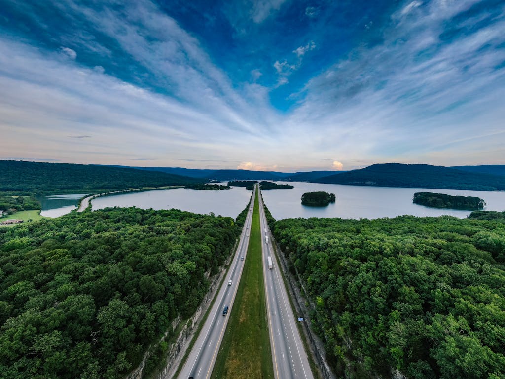 Road Between Trees