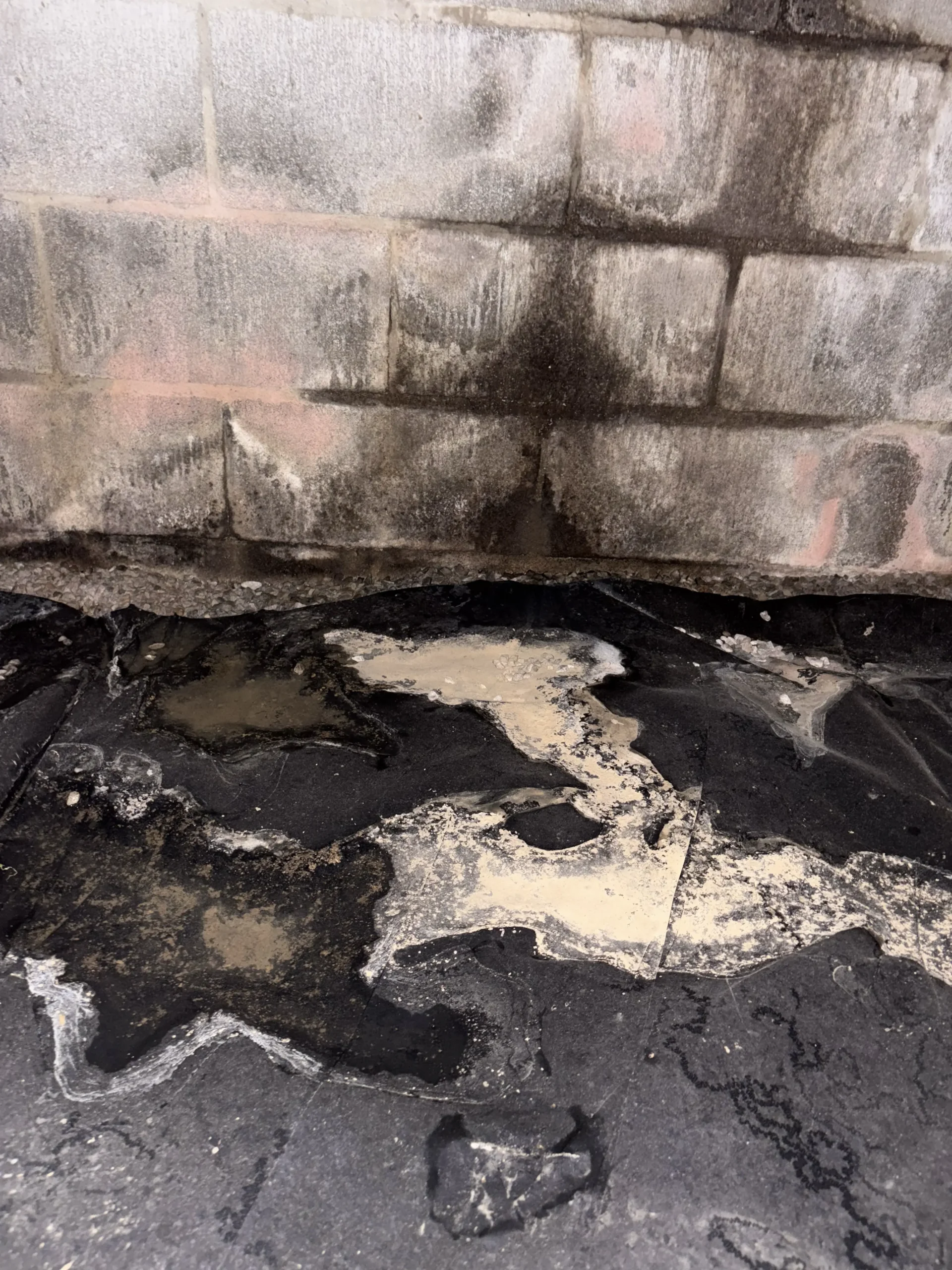 Condensation and Humidity Issues