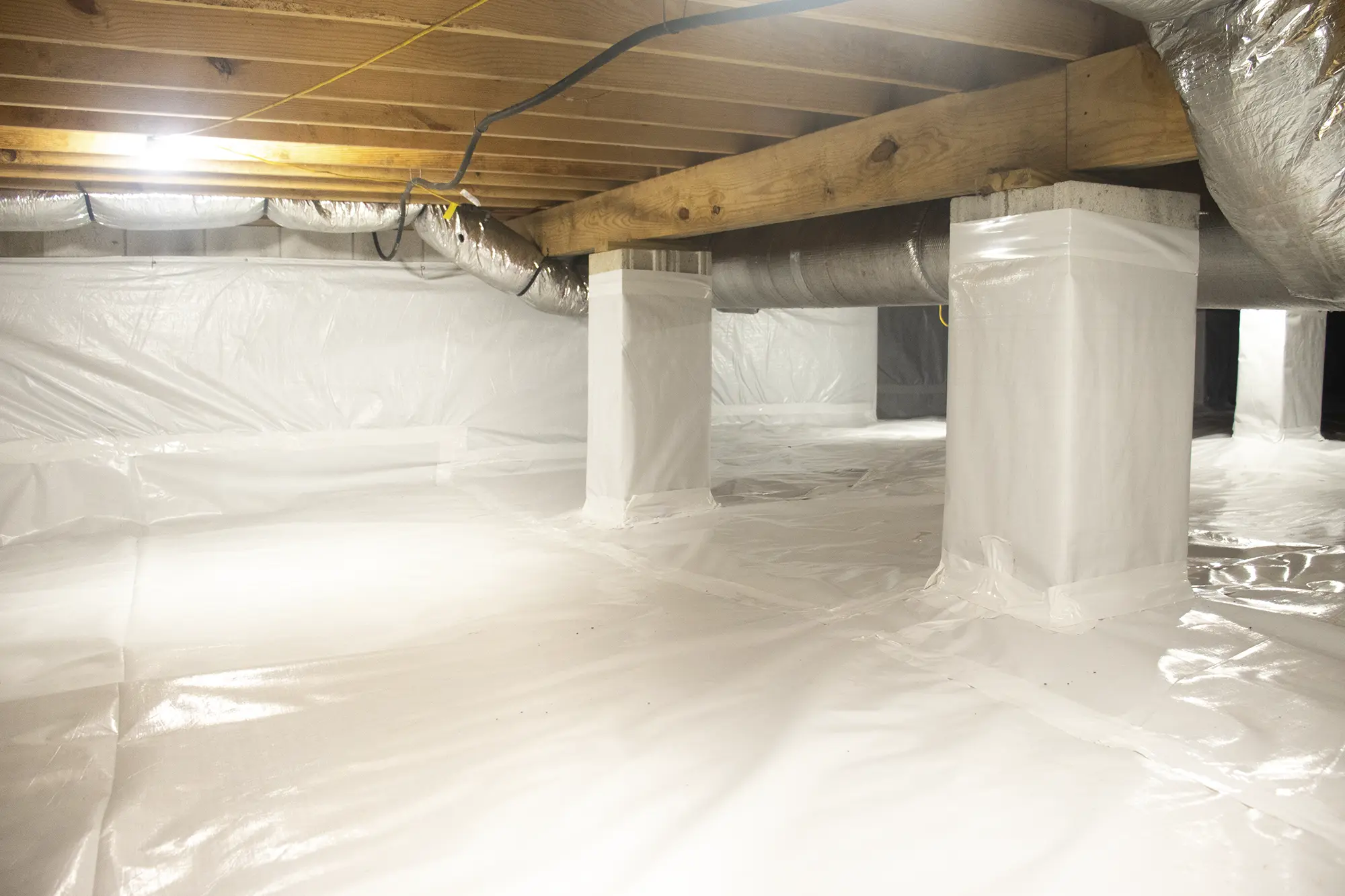 The Crawlspace Kings
